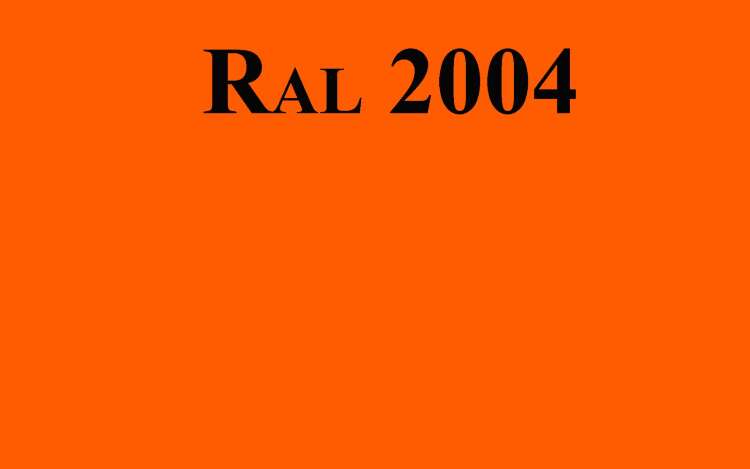 Профнастил С-21 (0,45 мм) 1050*6000 мм RAL 2004